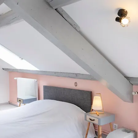 Le Havre Nanceien Apartamento Nancy