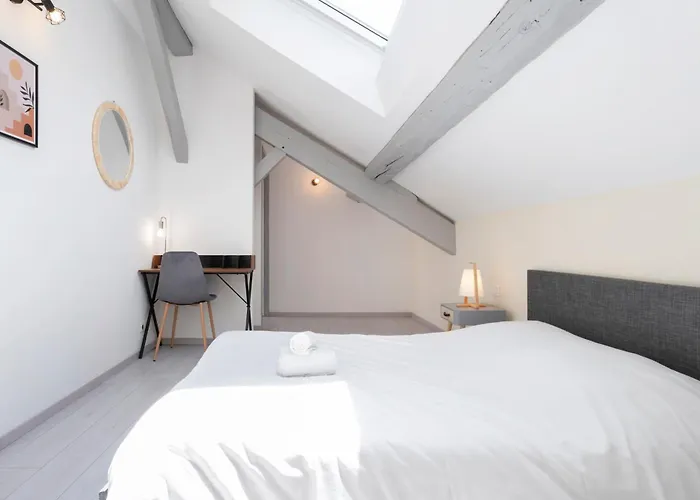 Le Havre Nanceien 公寓 南锡