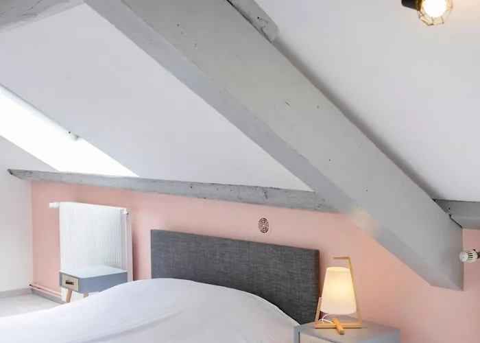 Le Havre Nanceien Апартаменты Нанси